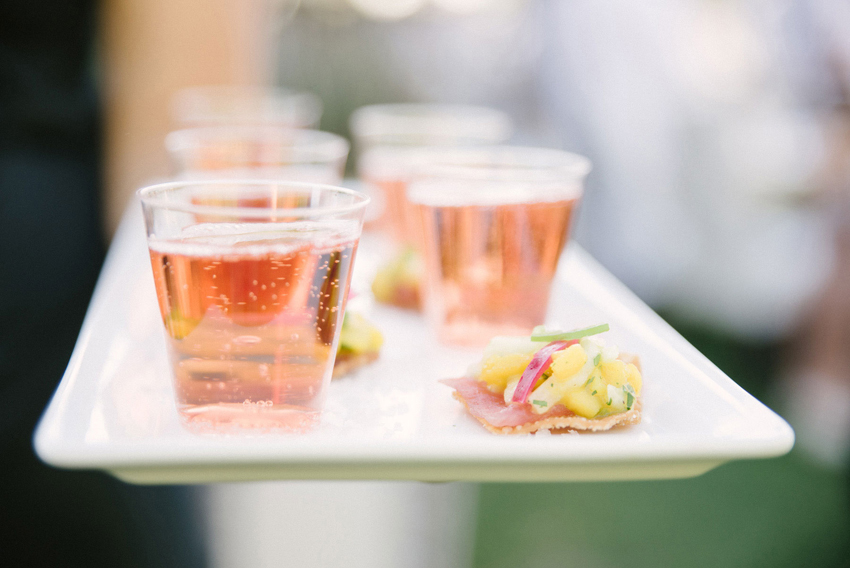 Appetizer and Wine Pairing for Weddings