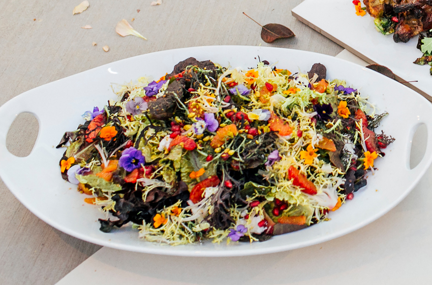 Havest Autumn Salad Colette_s Catering