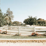 1808_Giracci-Vineyards-Wedding_-Aros_638